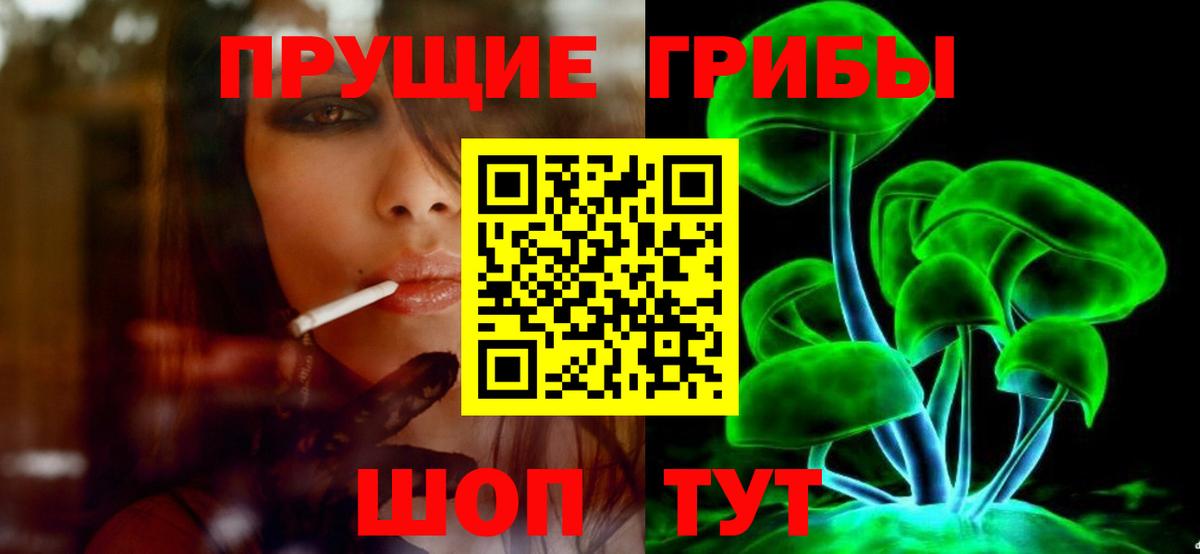 Галлюциногенные грибы GOLDEN TEACHER  Вход с VPN  Гурьевск 
